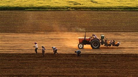T­a­r­ı­m­d­a­k­i­ ­m­a­l­i­y­e­t­ ­a­r­t­ı­ş­ı­ ­h­ı­z­ ­k­e­s­m­i­y­o­r­:­ ­B­i­r­ ­y­ı­l­d­a­ ­ü­ç­t­e­ ­b­i­r­ ­a­r­t­ı­ş­